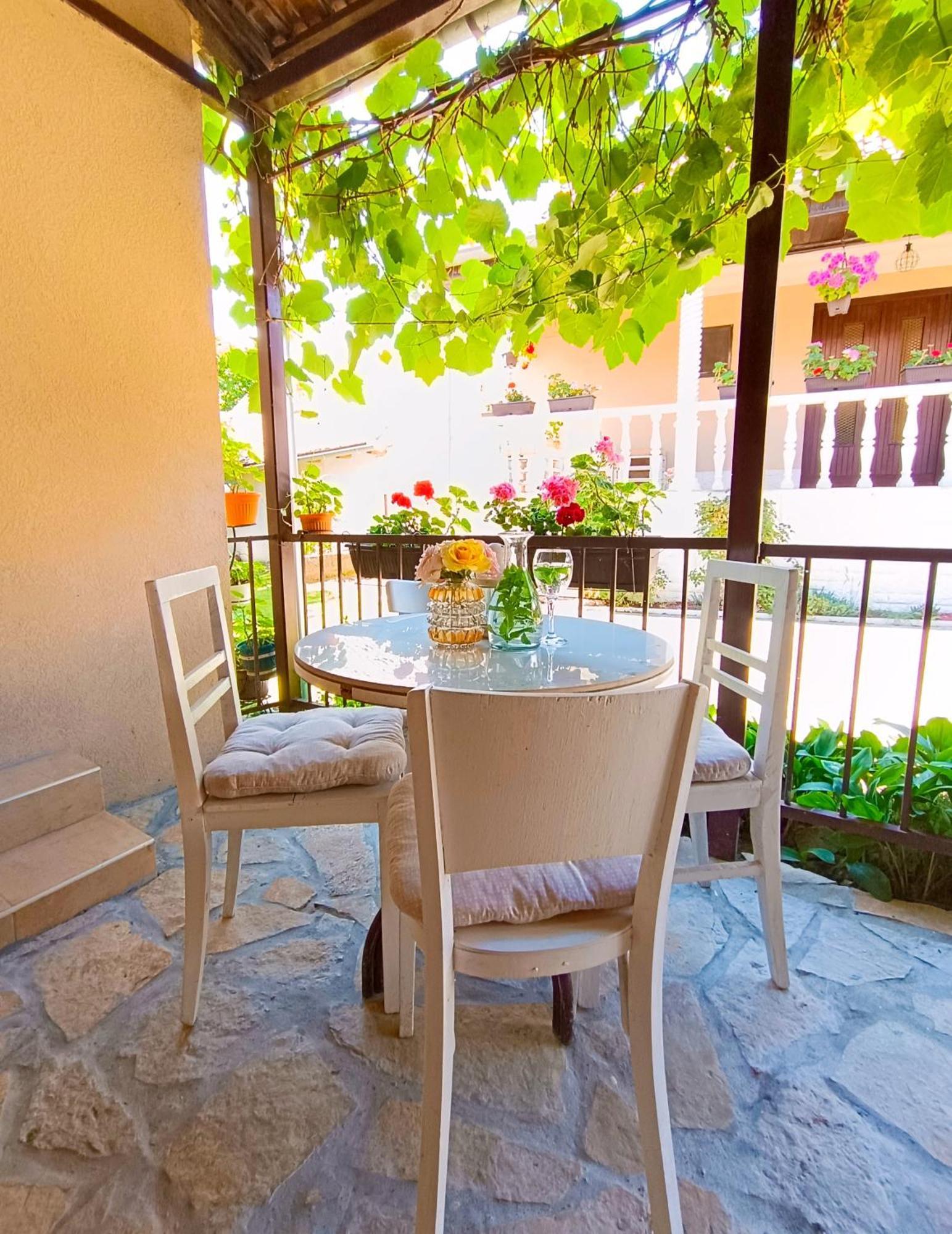 Sara Apartment Vrdnik